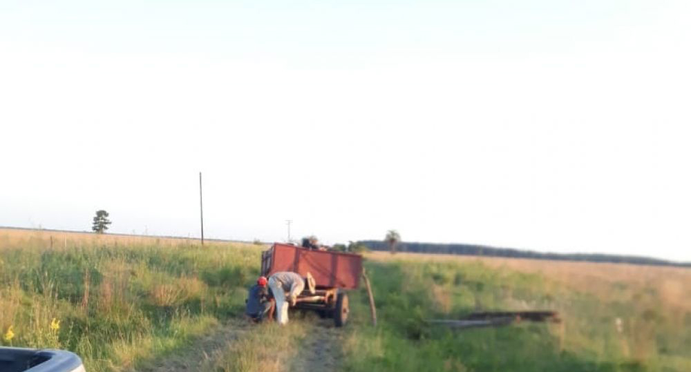 El Batel, blanco de robos de durmientes y animales