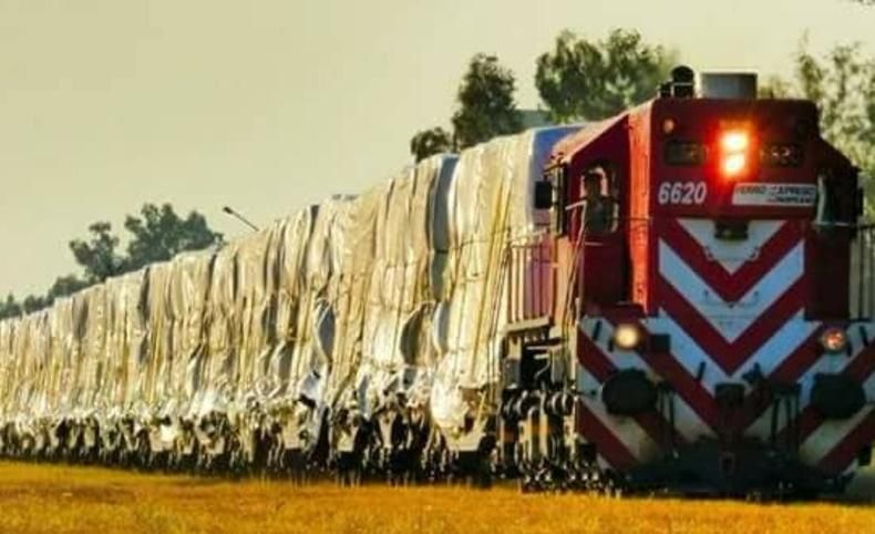 Llegó el primer cargamento de alfalfa por tren desde la provincia de San Luis