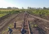 Corrientes: repararon los daños por incendios en las líneas de ferrocarril