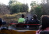 Paseo de fin de semana: un viaje en el tiempo por las vías del Tren Trasandino