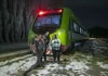 Rio Negro: Finde XXL,Aventurarse en un viaje en tren por Río Negro ¡Tiene Sentido!