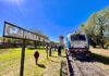 Rosario: El tren Rosario-Cañada de Gómez tendría “los días contados”. Peligra su continuidad