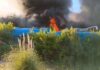 Último Momento – Incendio en Playa Norte de Haedo