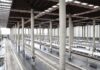 Atocha: licitan obras por 3,71 millones para rehabilitar la cubierta de la sala hipóstila ADIF Alta Velocidad licita por 3,71 millones de euros la rehabilitación de la cubierta de la sala hipóstila de Madrid Puerta de Atocha.