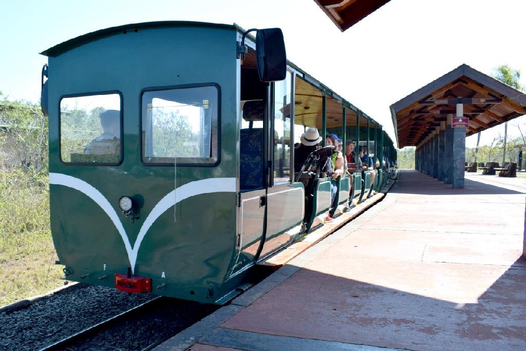 Incorporan nueva locomotora eléctrica al Tren Ecológico de la Selva