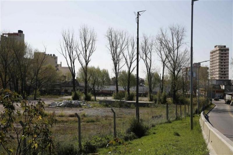 Organizaciones ambientalistas se unen contra la venta de playones ferroviarios