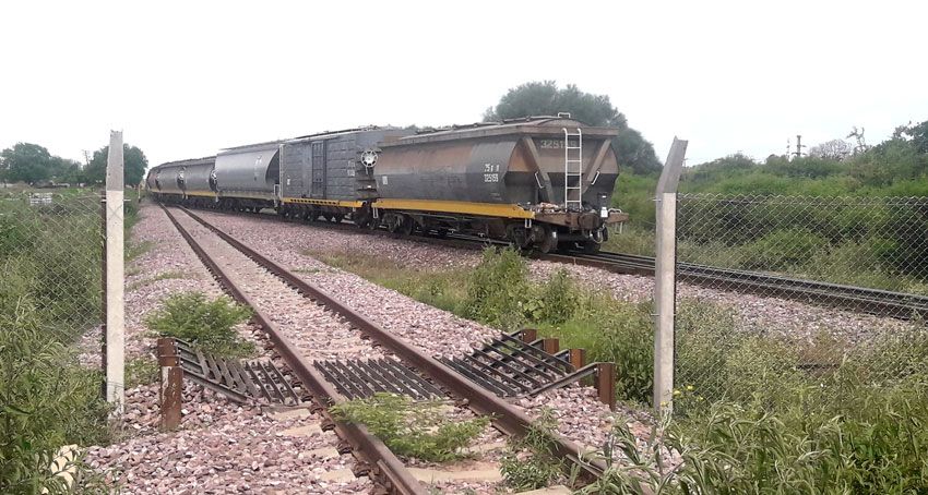 Modernizaran la playa de maniobras de la estación ferroviaria de Pinedo del Belgrano Cargas