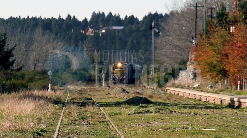 El Tren Patagónico te invita a un viaje inolvidable a través de la estepa rionegrina
