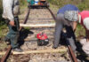 Entre Rios: Aficionados al ferrocarril restauran un tramo de vías que llegan a Concordia