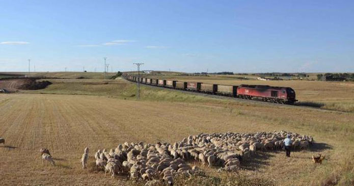 España: Zamora, única capital con AVE de la región que no tiene tren a Madrid a primera hora