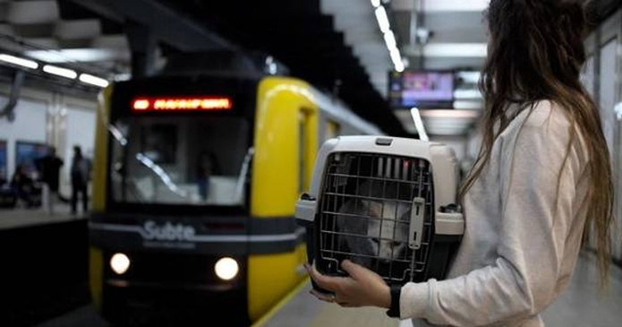 Las mascotas podrán viajar en subte pero solo dentro de bolsos especiales