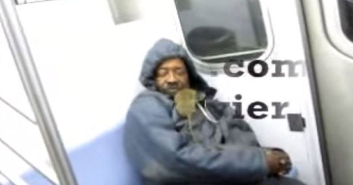 Estados Unidos: Hombre dormía en tren hasta que una rata le saltó al rostro