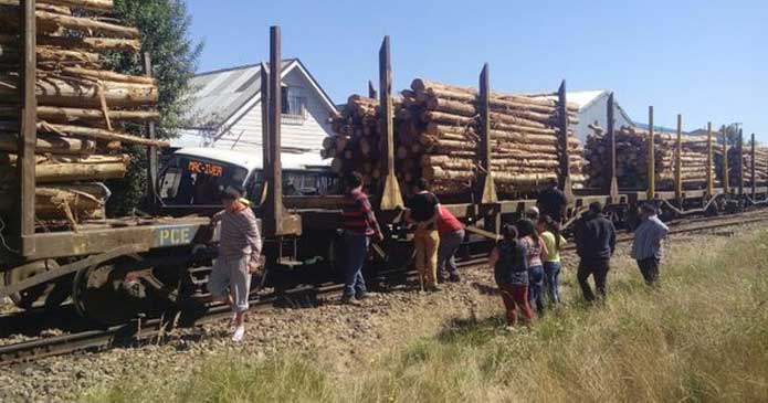 Chile: 13 lesionados deja accidente ferroviario en La Araucanía