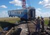Vuelven a circular los trenes entre Constitución y Cañuelas