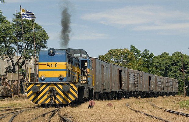 Uruguay: Lanzan licitación pública internacional para construir ferrocarril Paso de los Toros-Montevideo