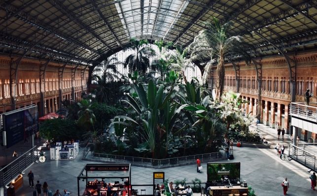Diez rutas en las que viajar en tren es más rápido que en avión