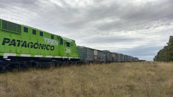 Llegó el tren a Viedma con 4.500 durmientes