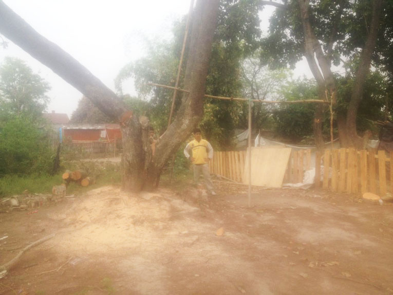 Usurpan terrenos del ferrocarril, acosan a los vecinos y talan añejos árboles