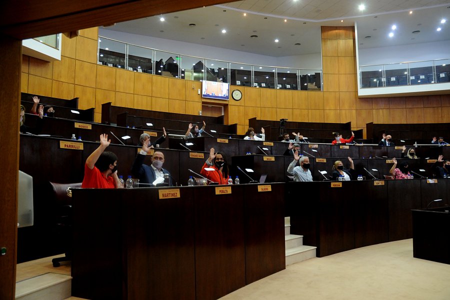 Interés Legislativo por la concreción del proyecto Ferrocarril Trasandino del Sur