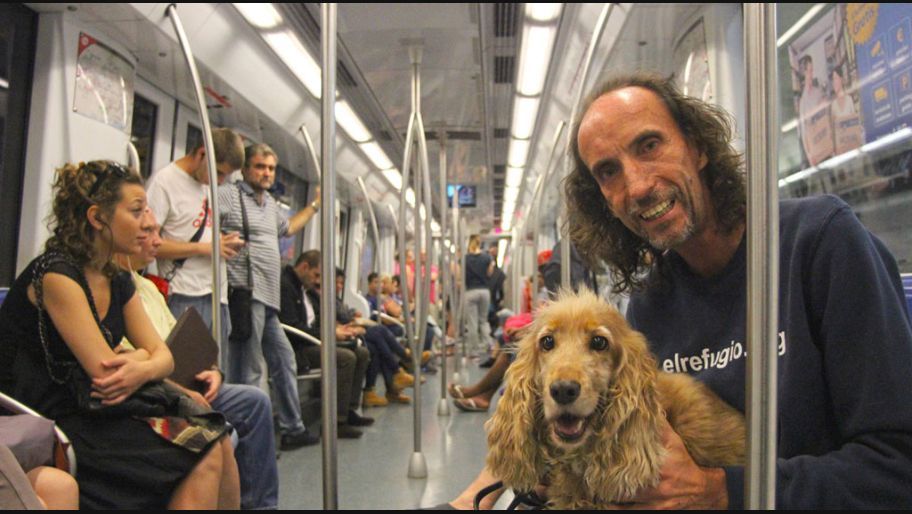 Desde diciembre, las mascotas podrán viajar en el subte los fines de semana