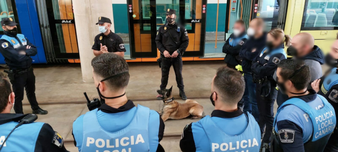 metrotenerife_guiascaninos_2