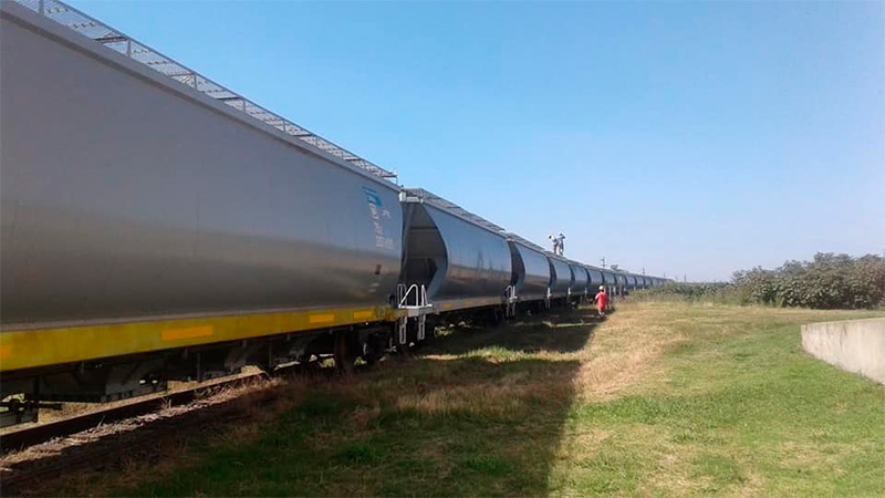 En tren, transportaron 2.000 toneladas de trigo entrerriano