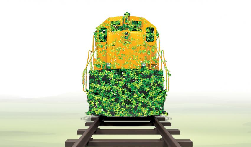 México: FERROCARRIL, TRANSPORTE VERDE