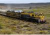 Tren Patagónico: Bariloche, Viedma, Bahía Blanca y Constitución. ¿A 2 meses de concretarse?