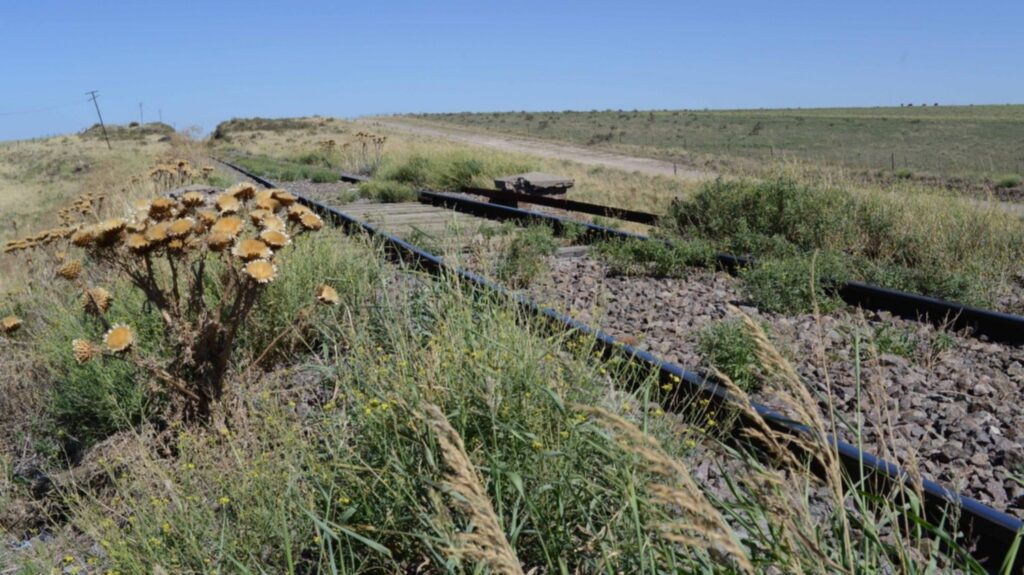 El ferrocarril Bahía-Vaca Muerta se encuentra en terapia intensiva